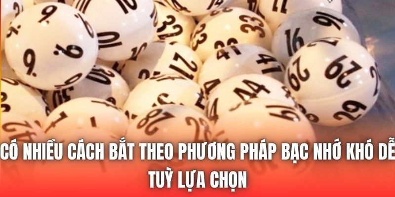 Có nhiều cách bắt theo phương pháp bạc nhớ khó dễ tuỳ lựa chọn