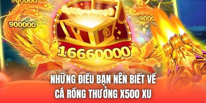 Những điều bạn nên biết về cá rồng thưởng x500 xu